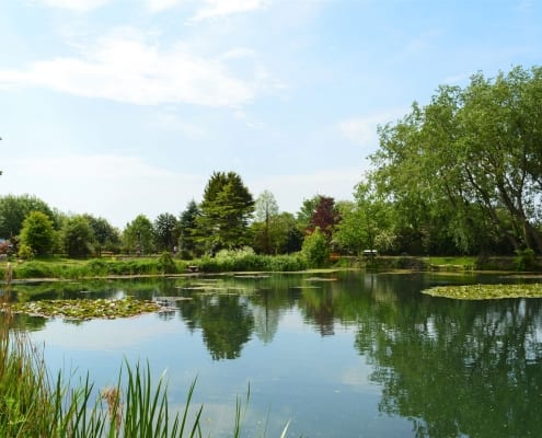 lakeside-fisheries-02