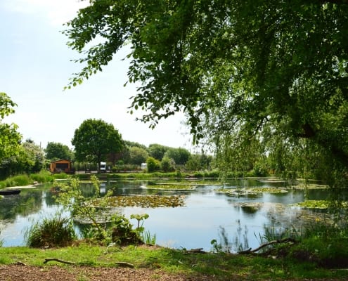 lakeside-fisheries-03