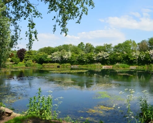 lakeside-fisheries-04